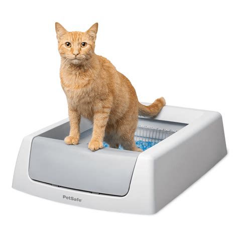 self cleaning litter box sale